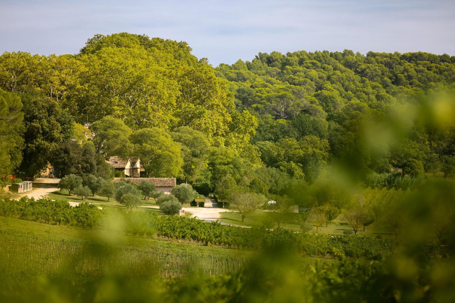 Chateau Mentone Masseboeuf Экстерьер фото